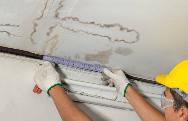 Affordable Water Damage Repair solutions in Rock Creek, OH